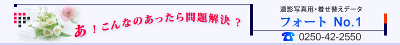 ��e�ʐ^ 